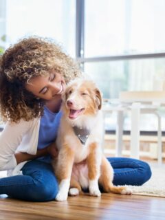10 Fun And Helpful Things To Do At Home With Your Puppy
