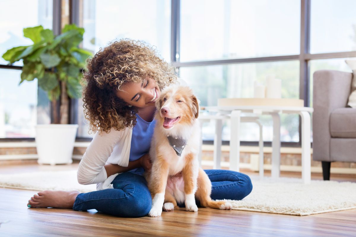 10 Fun And Helpful Things To Do At Home With Your Puppy