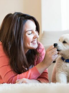 Healthy Ways To Bond With Your Puppy (8 Must-Try Methods)