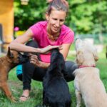A Complete Puppy Training Schedule By Age - When To Reinforce Each Behavior