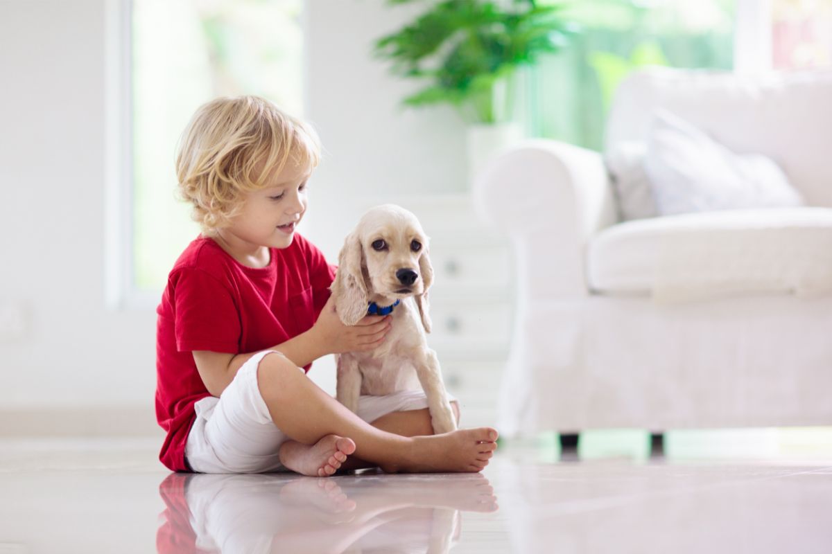 Toddlers And Dogs Usable Tips And Strategies For Keeping Your Home Safe (1)