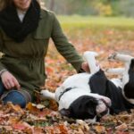 Understanding Doggies: Why Do Dogs Roll On Their Back And Wiggle?
