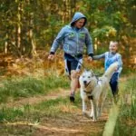 Off-Leash Adventures: Exploring The Wild With Your Furry Friend